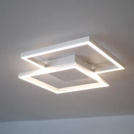 Old Olive Tree * Agii Apostoli (Monemvasia)