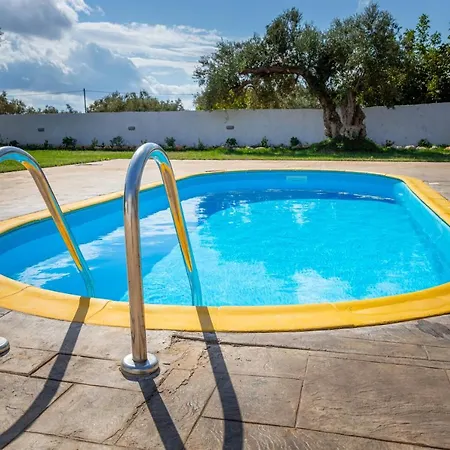 Old Olive Tree Casa de Férias