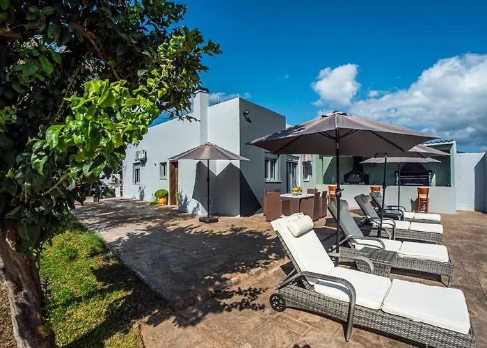 Old Olive Tree Casa de Férias